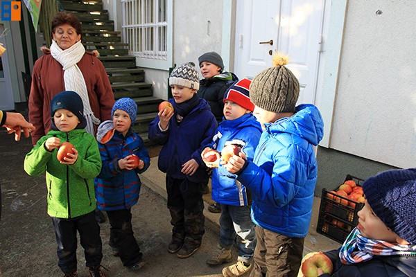 Kattintson, ha szeretné látni a többi képet!
