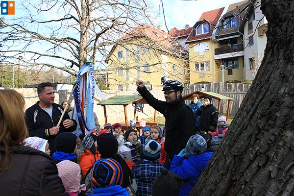 Kattintson, ha szeretné látni a többi képet!