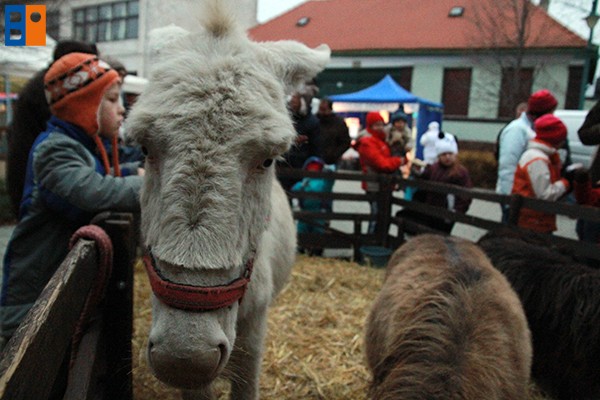 Kattintson, ha szeretné látni a többi képet!