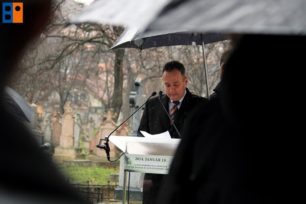 Kattintson, ha szeretné látni a többi képet!