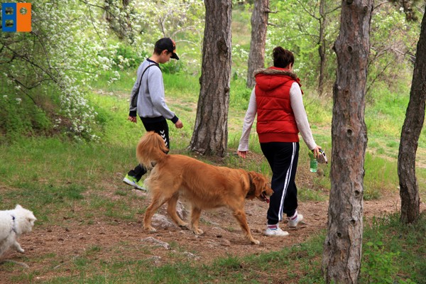 Kattintson, ha szeretné látni a többi képet!