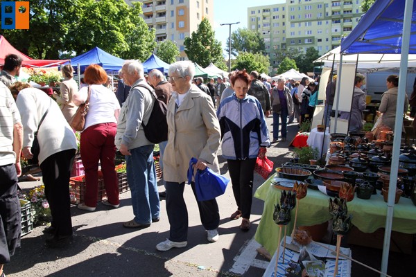 Kattintson, ha szeretné látni a többi képet!