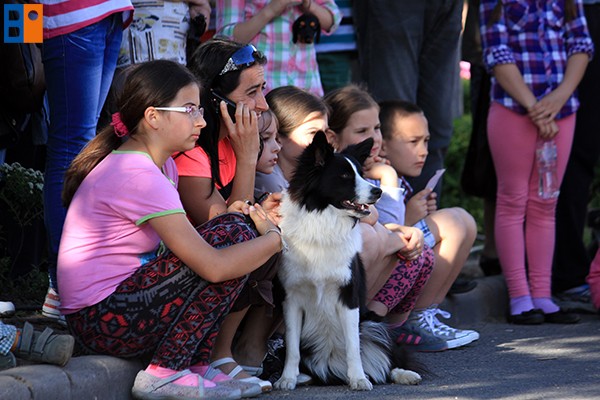 Kattintson, ha szeretné látni a többi képet!