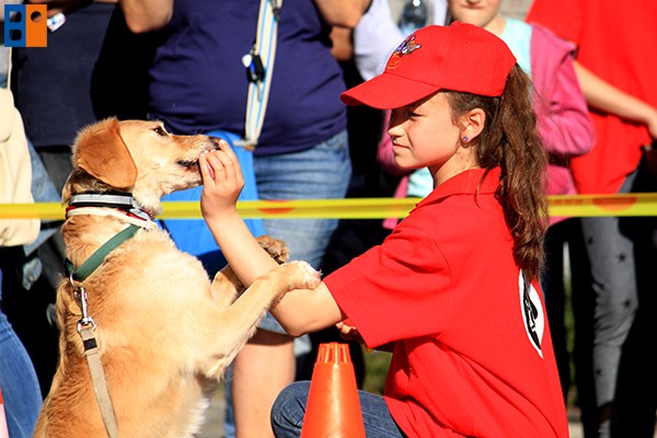 Kattintson, ha szeretné látni a többi képet!