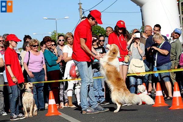 Kattintson, ha szeretné látni a többi képet!