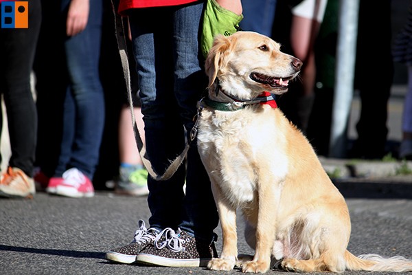 Kattintson, ha szeretné látni a többi képet!