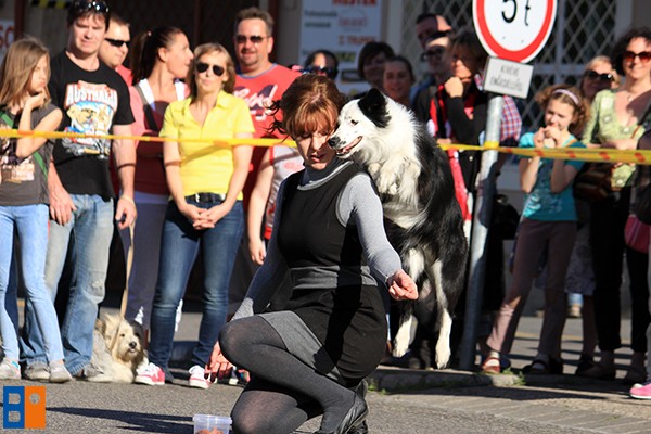 Kattintson, ha szeretné látni a többi képet!