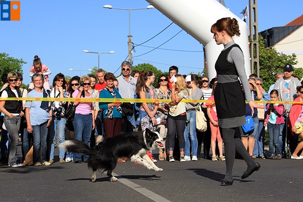 Kattintson, ha szeretné látni a többi képet!