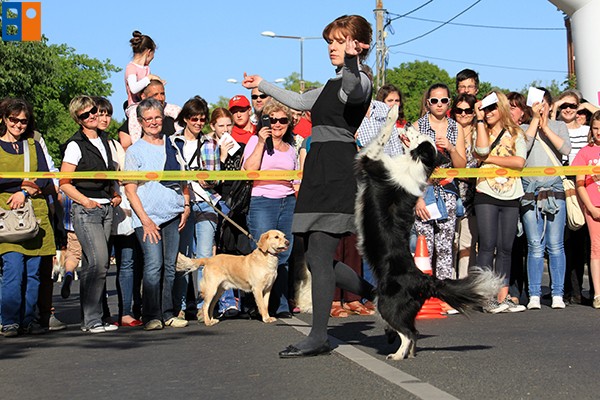 Kattintson, ha szeretné látni a többi képet!