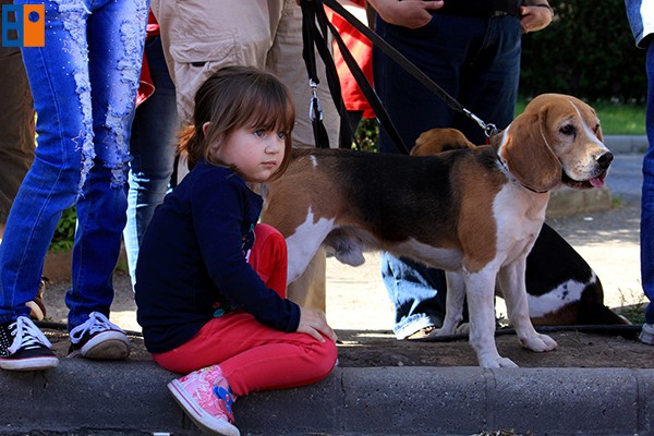 Kattintson, ha szeretné látni a többi képet!