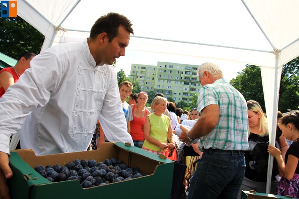 Kattintson, ha szeretné látni a többi képet!