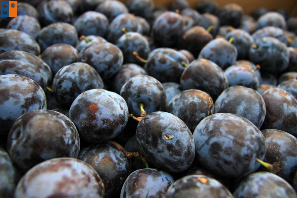 Kattintson, ha szeretné látni a többi képet!