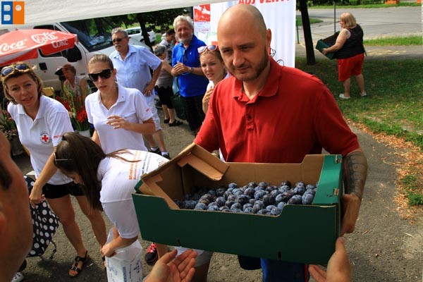 Kattintson, ha szeretné látni a többi képet!
