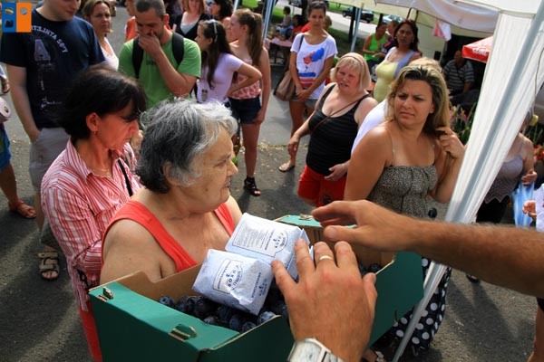 Kattintson, ha szeretné látni a többi képet!