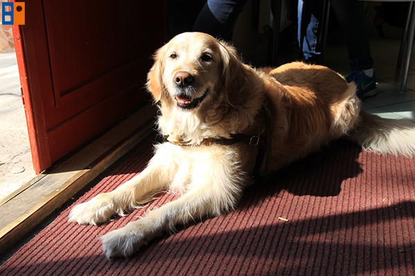 Kattintson, ha szeretné látni a többi képet!