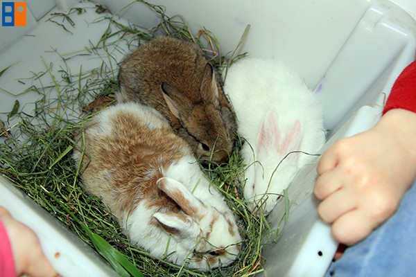 Kattintson, ha szeretné látni a többi képet!