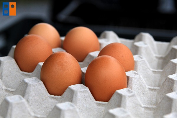 Kattintson, ha szeretné látni a többi képet!