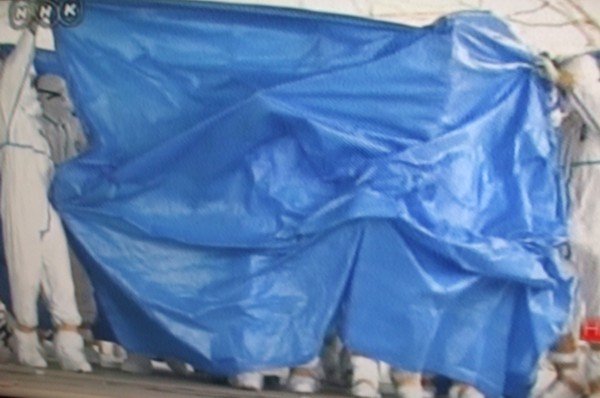 Japan, sugarfertozes