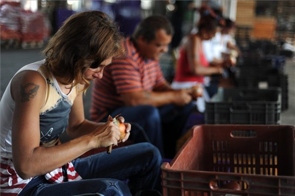 hagymapucolo_verseny_mako0