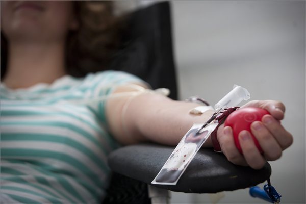 veradas_vervetel_ver_orvos_egeszsegugy0