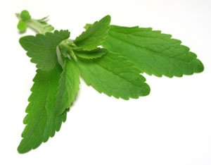 stevia