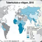 TBC_tbc_tuberkulozis_2010