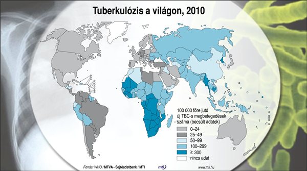 TBC_tbc_tuberkulozis_2010