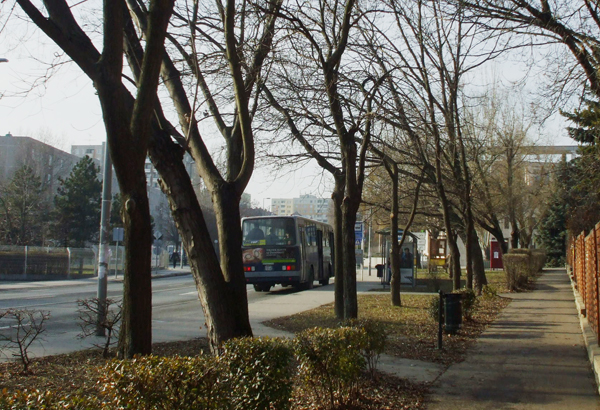 BKV busz Budaörsön