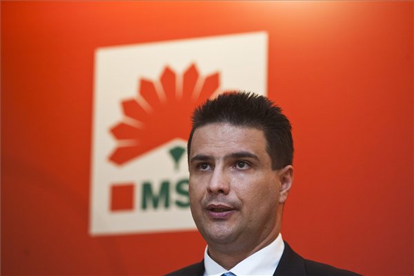 Mesterhazy_Attila_sajtot