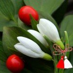 martisor2012