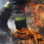 erdo_tuz_tuzolto_kicsi_Nagy_Lajos_foto