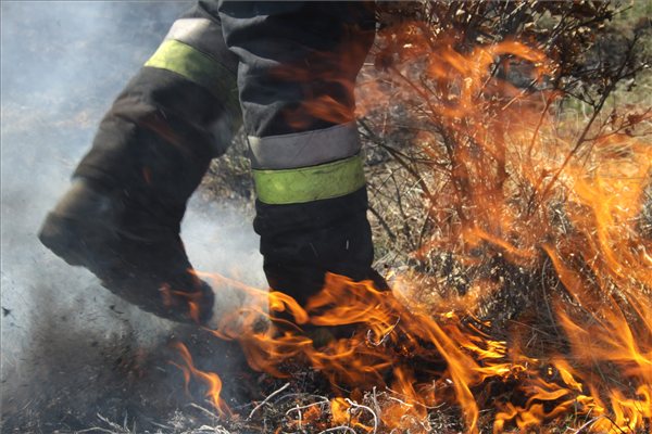 erdo_tuz_tuzolto_kicsi_Nagy_Lajos_foto