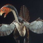Caudipteryx_zoui_dinoszaurusz