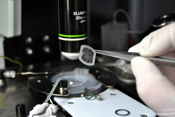 genetikai_vizsgalat_kutatas_laboratorium_mikroszkop