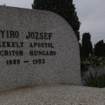 nyiro_jozsef_siremleke_spanyolo