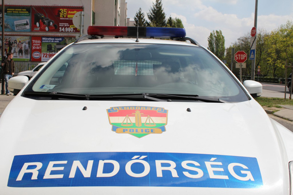 rendorseg_rendorauto1