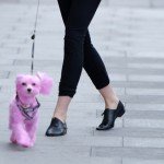 Emma_Watson_Darcy_kutyaja0