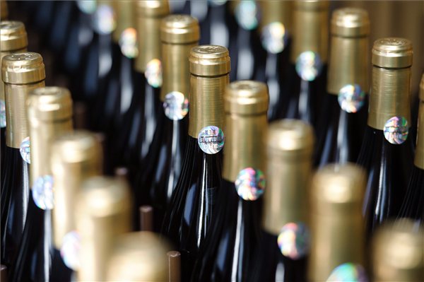 bor_pince_palack_palackozas_alkohol