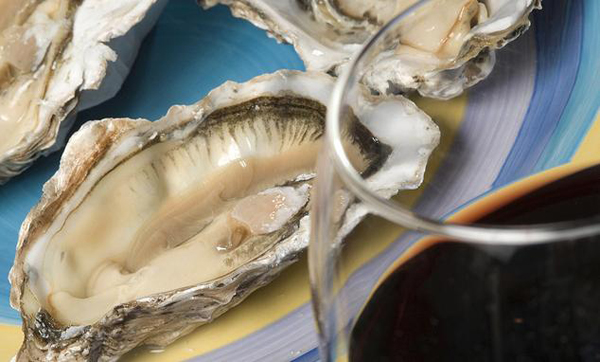 cink_tartalom_kagylo