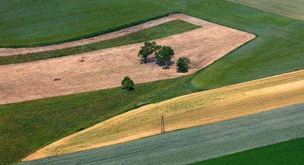 fold_foldmuveles_gabona_vetes_szantofold