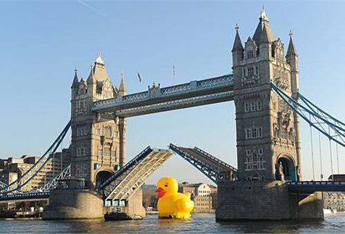 gumikacsa_temze_london_2012_