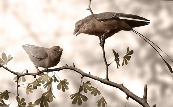 Confuciusornis_sanctus_oskori_madarak_rekonstr