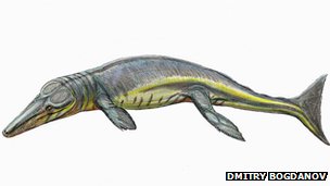 delfinszeru_krokodil_165_millio_eves