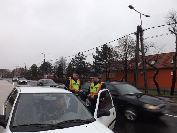 husveti_kozuti_ellenorzes_budaors