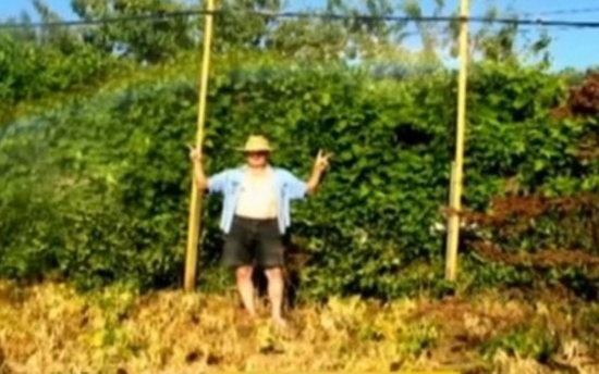 genf2013_ioan_grossu_mesterseges_szivarvany2