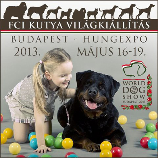 kutyavilagkiallitas_2013_budapest
