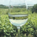 badacsonyi_bor_szolo_pohar