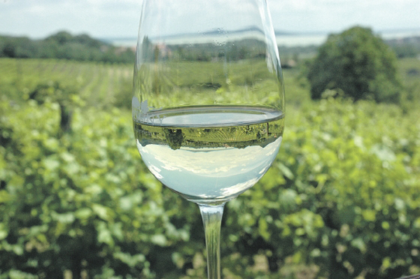 badacsonyi_bor_szolo_pohar