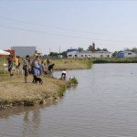 kutyastrand_szeged_2013_kutyak_1