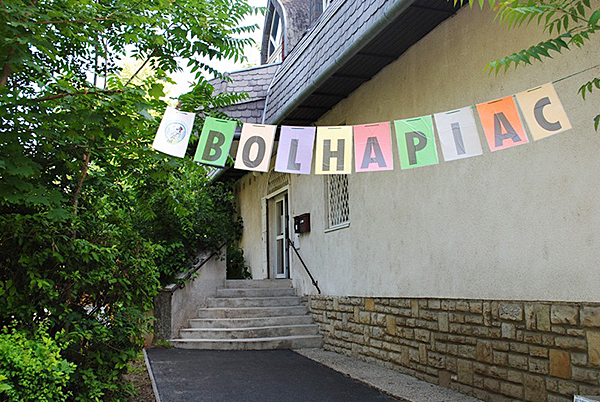 lakotelepi_bolhapiac_budaors_2013jul